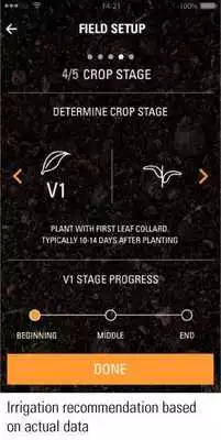 Play Netmaize
