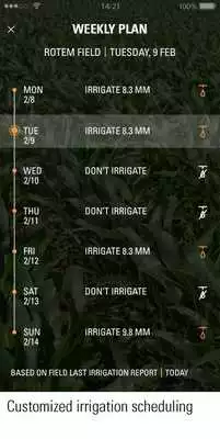 Play Netmaize