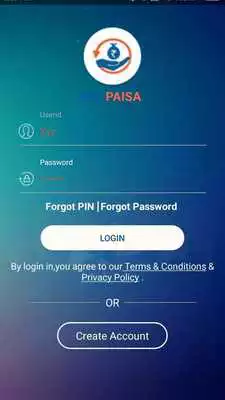 Play Net Paisa Business