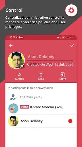 Play NetSfere Secure Messaging as an online game NetSfere Secure Messaging with UptoPlay