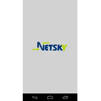 Play NetSky  and enjoy NetSky with UptoPlay