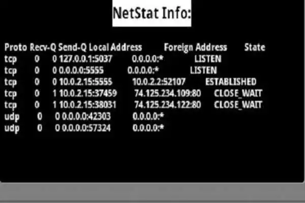 Play Net Stat - Netstat