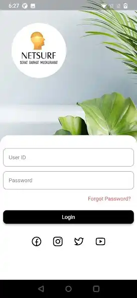 Play Netsurf E-Tailer as an online game Netsurf E-Tailer with UptoPlay