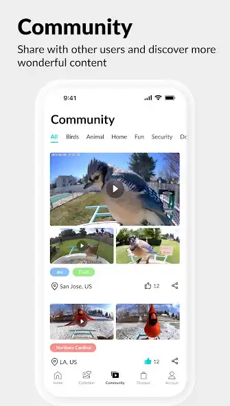 Play Netvue Next - In Sight In Mind as an online game Netvue Next - In Sight In Mind with UptoPlay