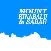 Free play online Networks Synergy International APK