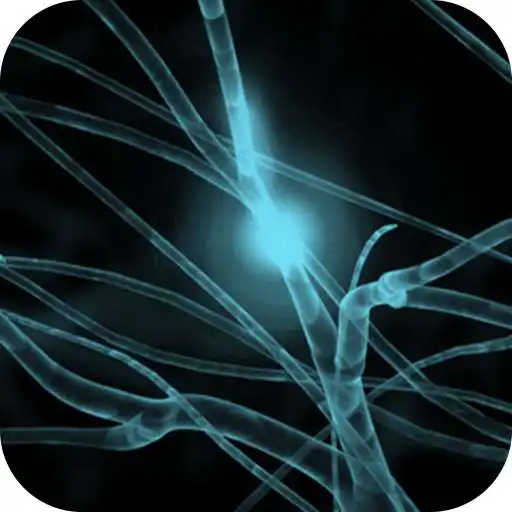 Play Neural Net for Handwriting APK