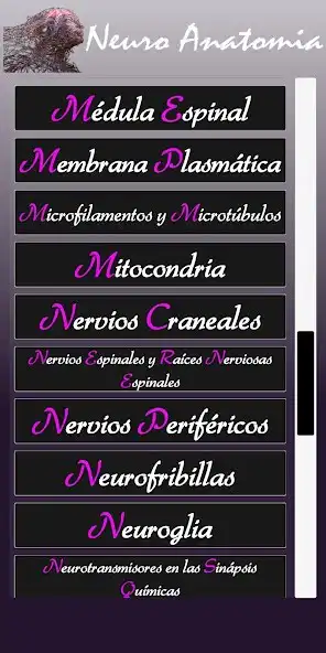 Play NeuroAnatomía  and enjoy NeuroAnatomía with UptoPlay