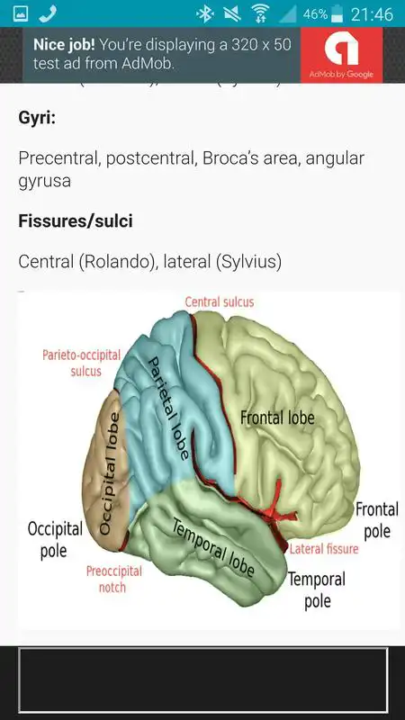 Play NeuroBasics