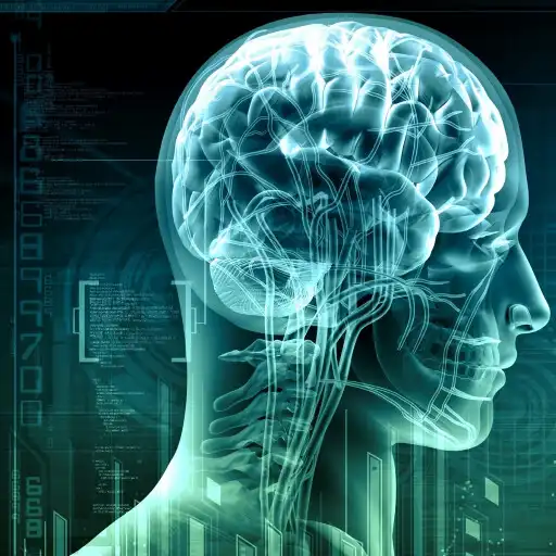 Play NeuroImaging APK Play NeuroImaging APK