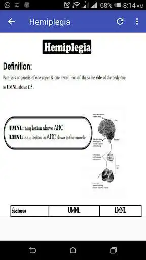 Play Neurology Book as an online game Neurology Book with UptoPlay