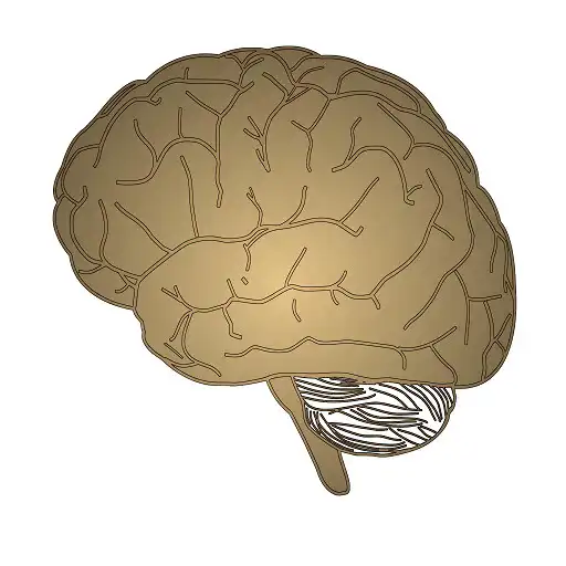 Play Neurology- Stroke localization APK Play Neurology- Stroke localization APK