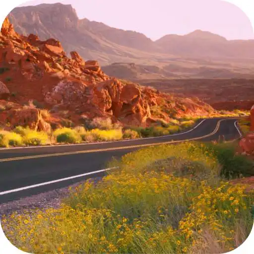Free play online Nevada Local News APK