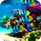 Free play online New Aquarium Live Wallpaper APK