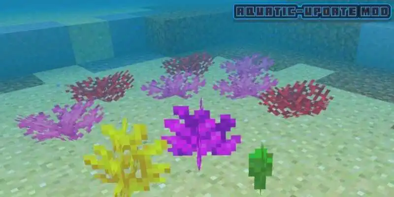 Play New Aquatic-Update Map MPCE