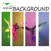 Free play online NEW BACKGROUND APK