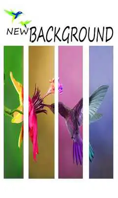 Play NEW BACKGROUND