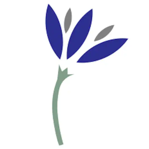 Play New Beginnings Therapists APK