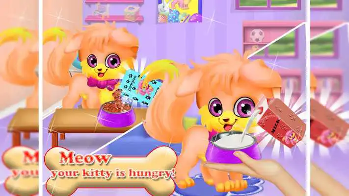 Play Newborn Kitty Daycare - Fluffy Pet Grooming Salon