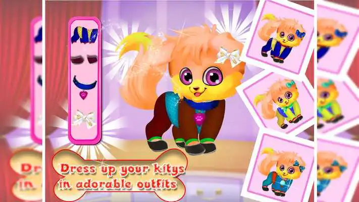 Play Newborn Kitty Daycare - Fluffy Pet Grooming Salon