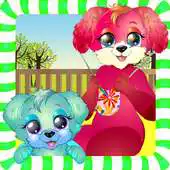Free play online NewBorn Pet Care:Dog Walker APK