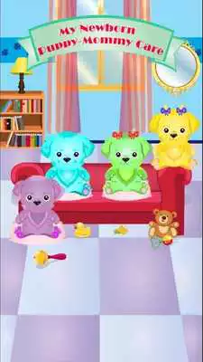 Play NewBorn Pet Care:Dog Walker