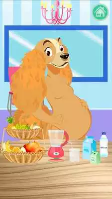 Play NewBorn Pet Care:Dog Walker