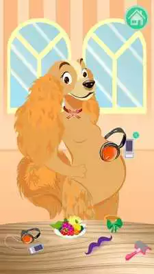 Play NewBorn Pet Care:Dog Walker