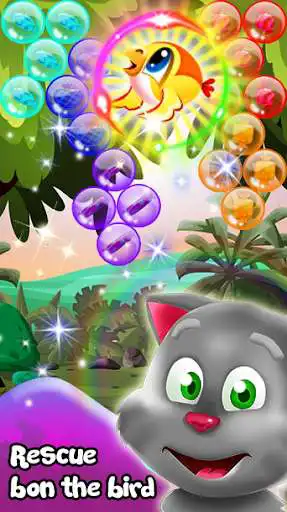 Play New Cat Bubble Shoot