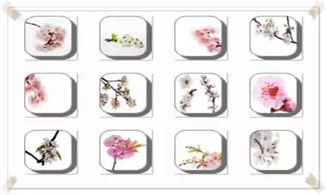 Play New Cherry Blossom Onet Game
