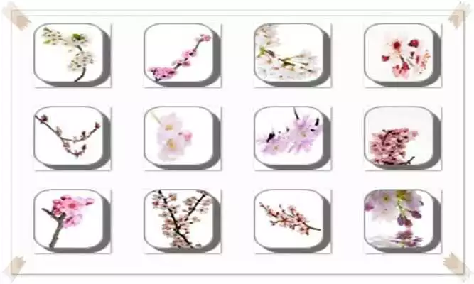 Play New Cherry Blossom Onet Game