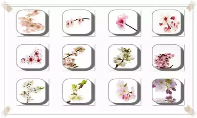 Play New Cherry Blossom Onet Game