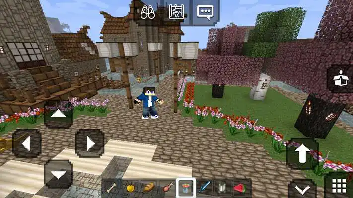 Play New Craft: My Pocket Exploration