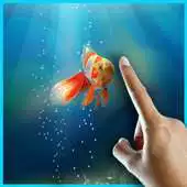 Free play online New Fish Tank Facts APK