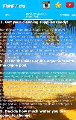 Play New Fish Tank Facts