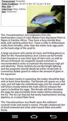 Play New Fish Tank Facts