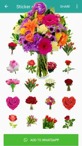 Play New Flower stickers WAStickerApps  and enjoy New Flower stickers WAStickerApps with UptoPlay
