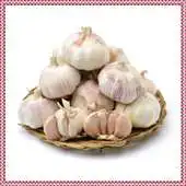 Free play online New Garlic Onet Connect Game APK Free play online New Garlic Onet Connect Game APK