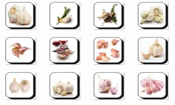 Play New Garlic Onet Connect Game
