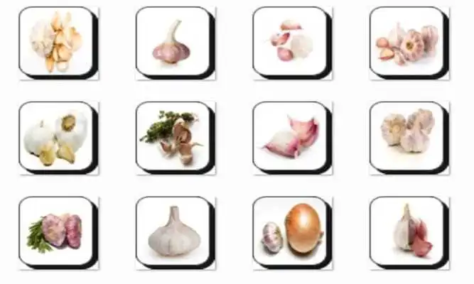 Play New Garlic Onet Connect Game
