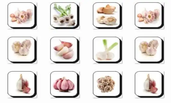 Play New Garlic Onet Connect Game