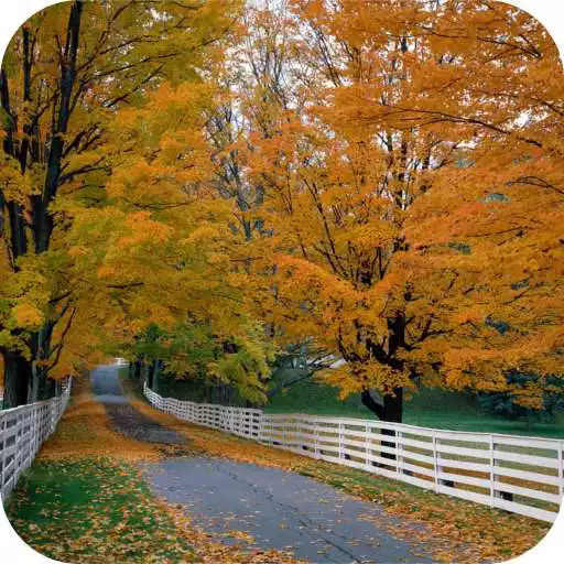 Play Newhampshire Local News APK Play Newhampshire Local News APK