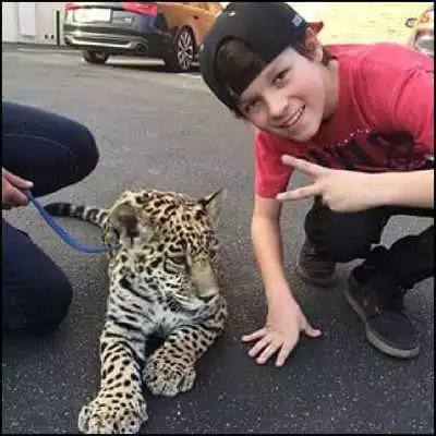 Play new Hayden summerall Wallpapers