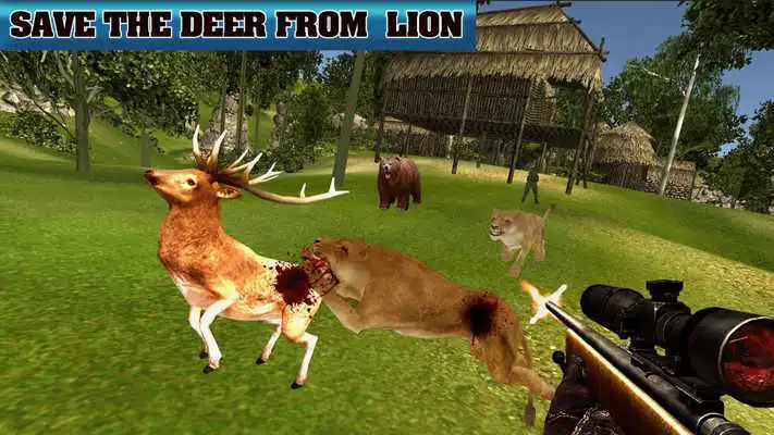 Play New Hunting 3D Jungle: Wild Animals Play New Hunting 3D Jungle: Wild Animals