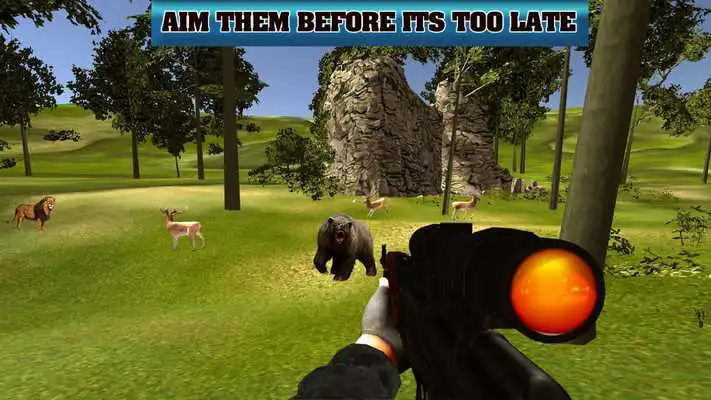 Play New Hunting 3D Jungle: Wild Animals Play New Hunting 3D Jungle: Wild Animals