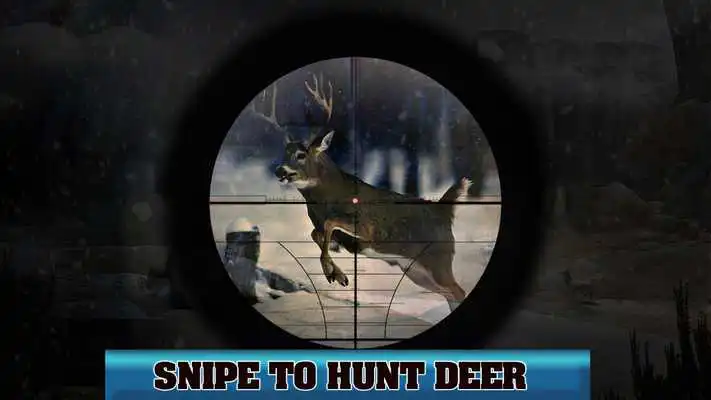 Play New Hunting 3D Jungle: Wild Animals Play New Hunting 3D Jungle: Wild Animals