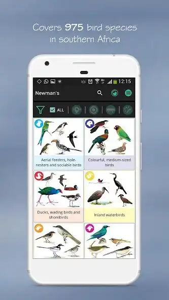 Play Newmans Birds Southern Africa  and enjoy Newmans Birds Southern Africa with UptoPlay