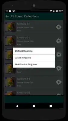 Play New Masteran Lovebird Durasi Panjang MP3