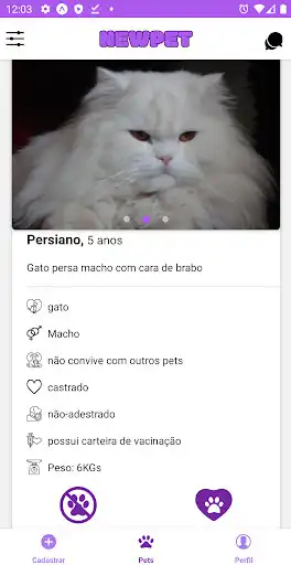 Play NEWPET as an online game NEWPET with UptoPlay