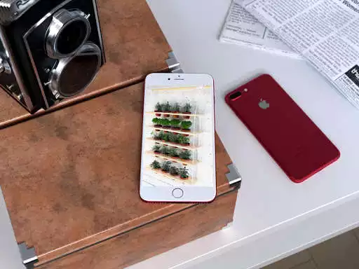 Play New Planting Ideas