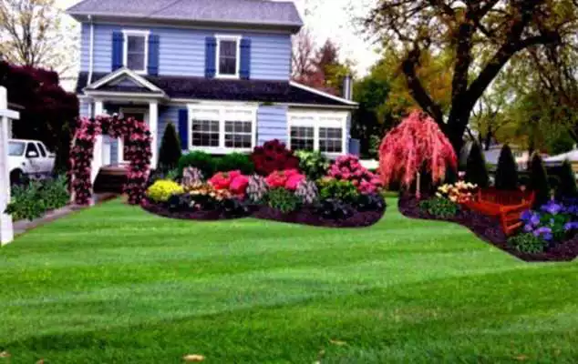 Play New Planting Ideas